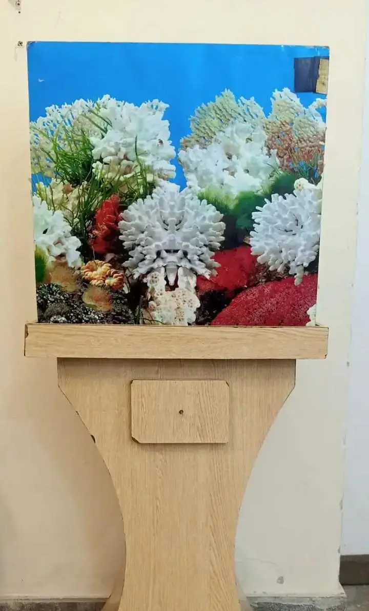 Fish Aquarium for Sale – Complete Setup — photo 4