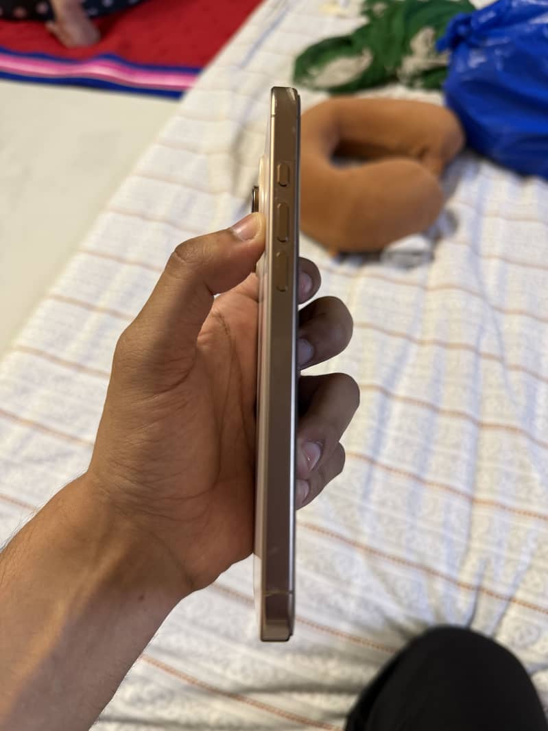 Apple iPhone 16 Pro Max 2