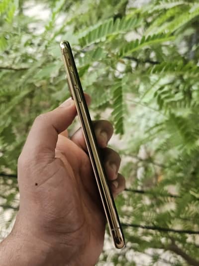 Apple iPhone XS Max PTA approved