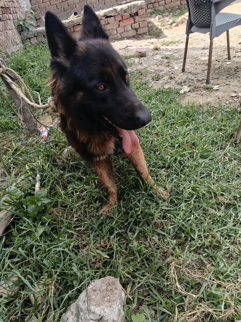 urgent sal — photo 2