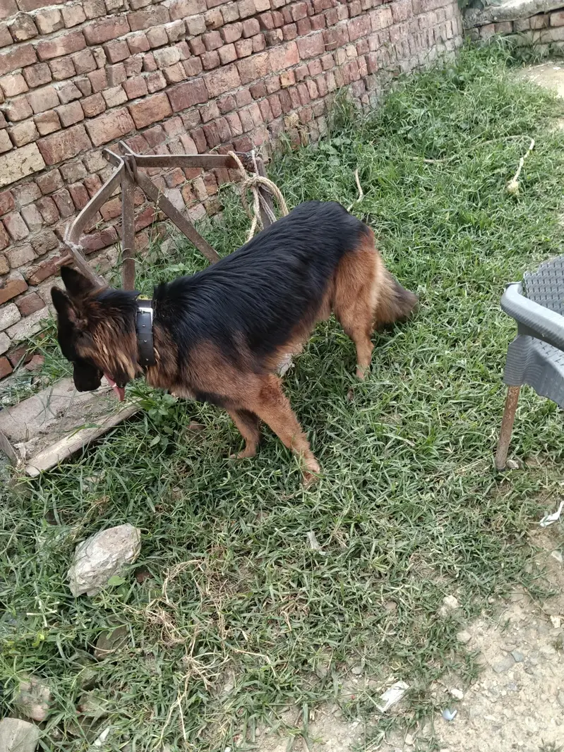 urgent sal — photo 3
