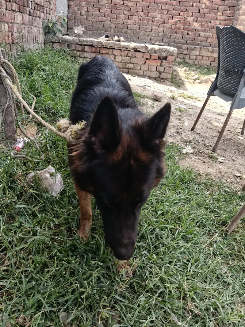 urgent sal — photo 4