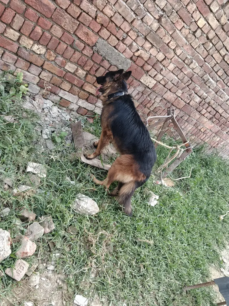 urgent sal — photo 5