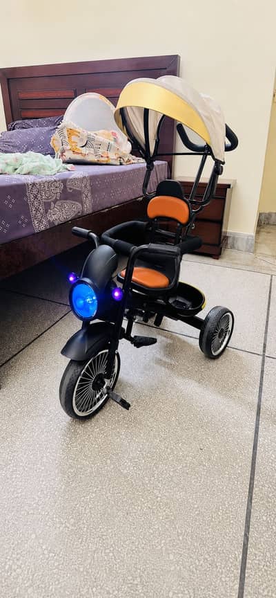 Multifunctional cycle