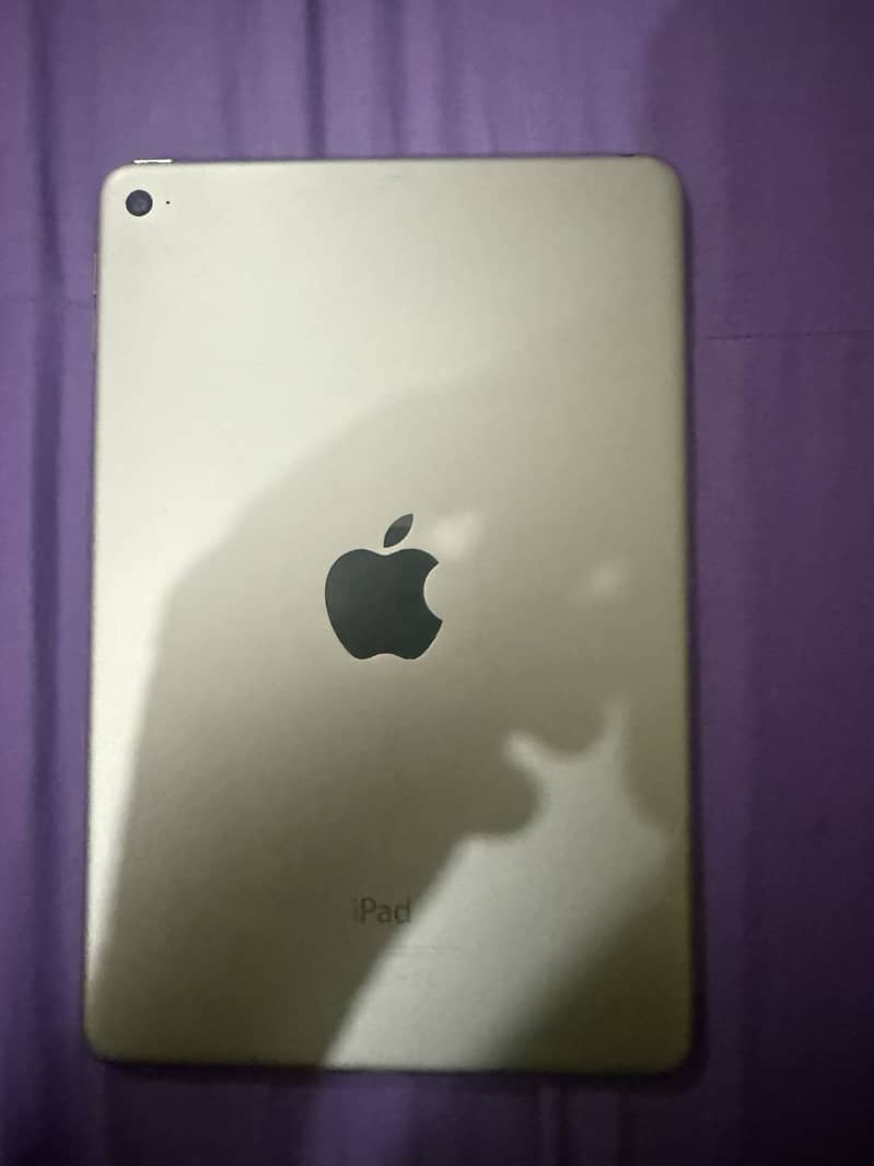 Apple iPad mini 4th generation 5