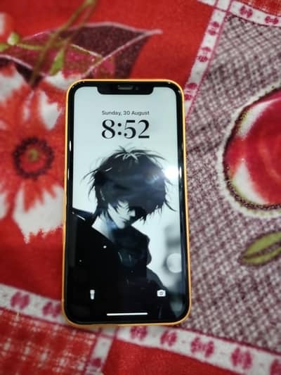 Apple iPhone XR converted 17 pro