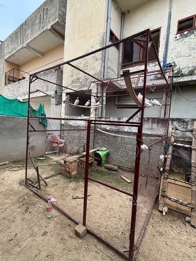 Pigeon Cage 8 by 8