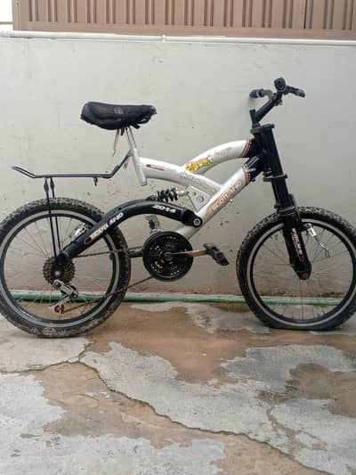 Cycle 24 inch