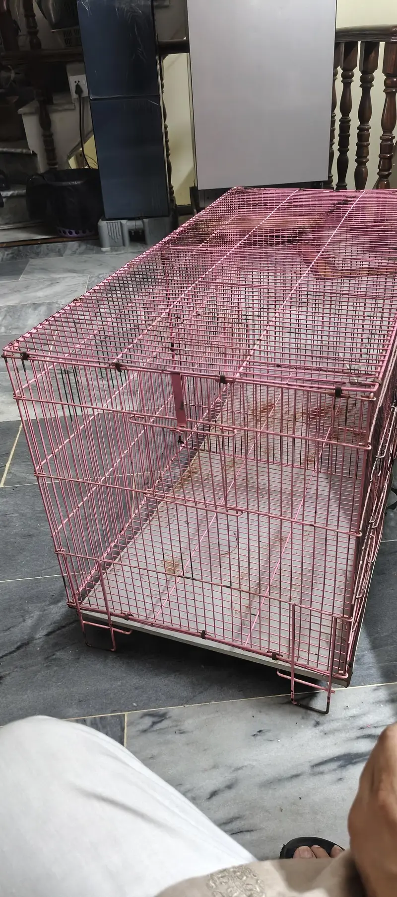 Cages for sale — photo 2