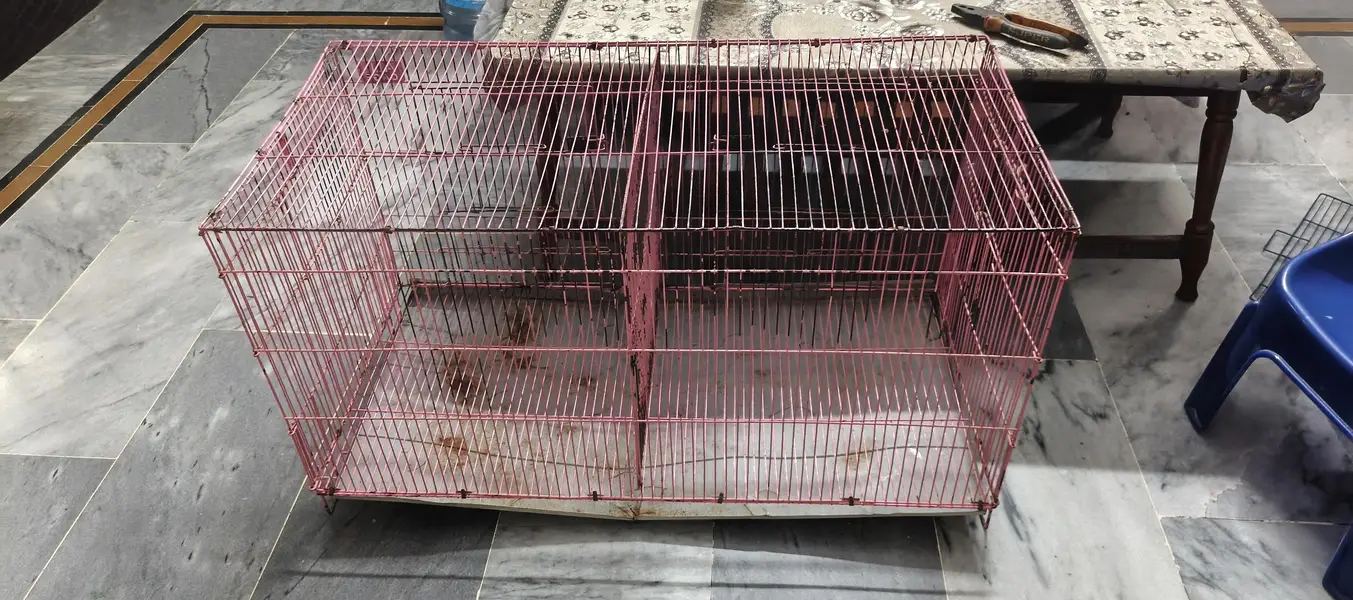Cages for sale — photo 4