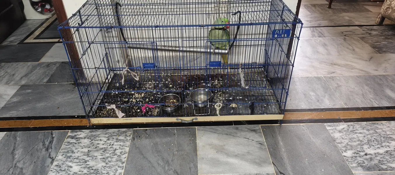 Cages for sale — photo 7