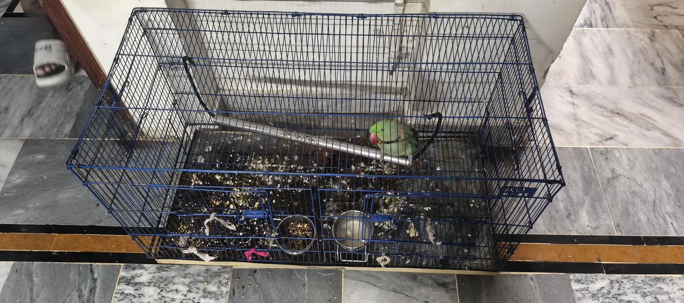 Cages for sale — photo 9