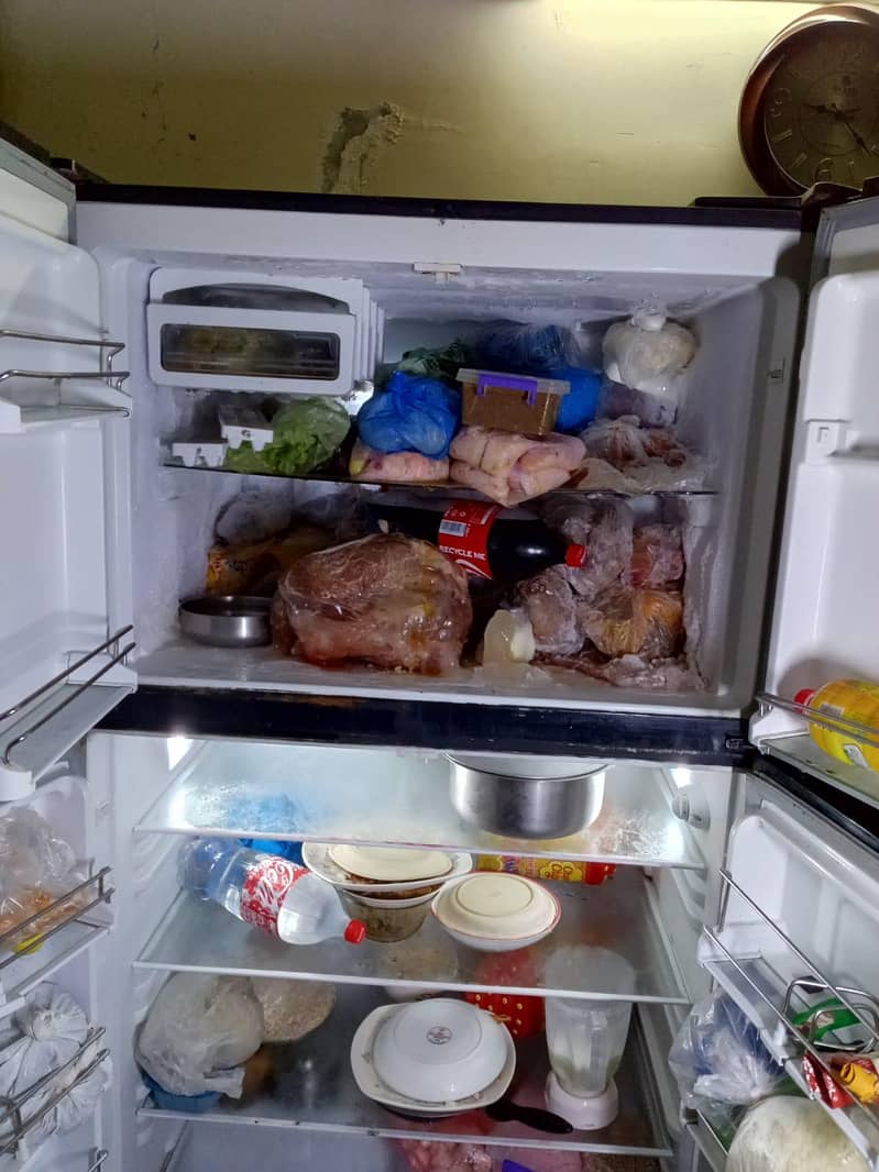 fridge 5