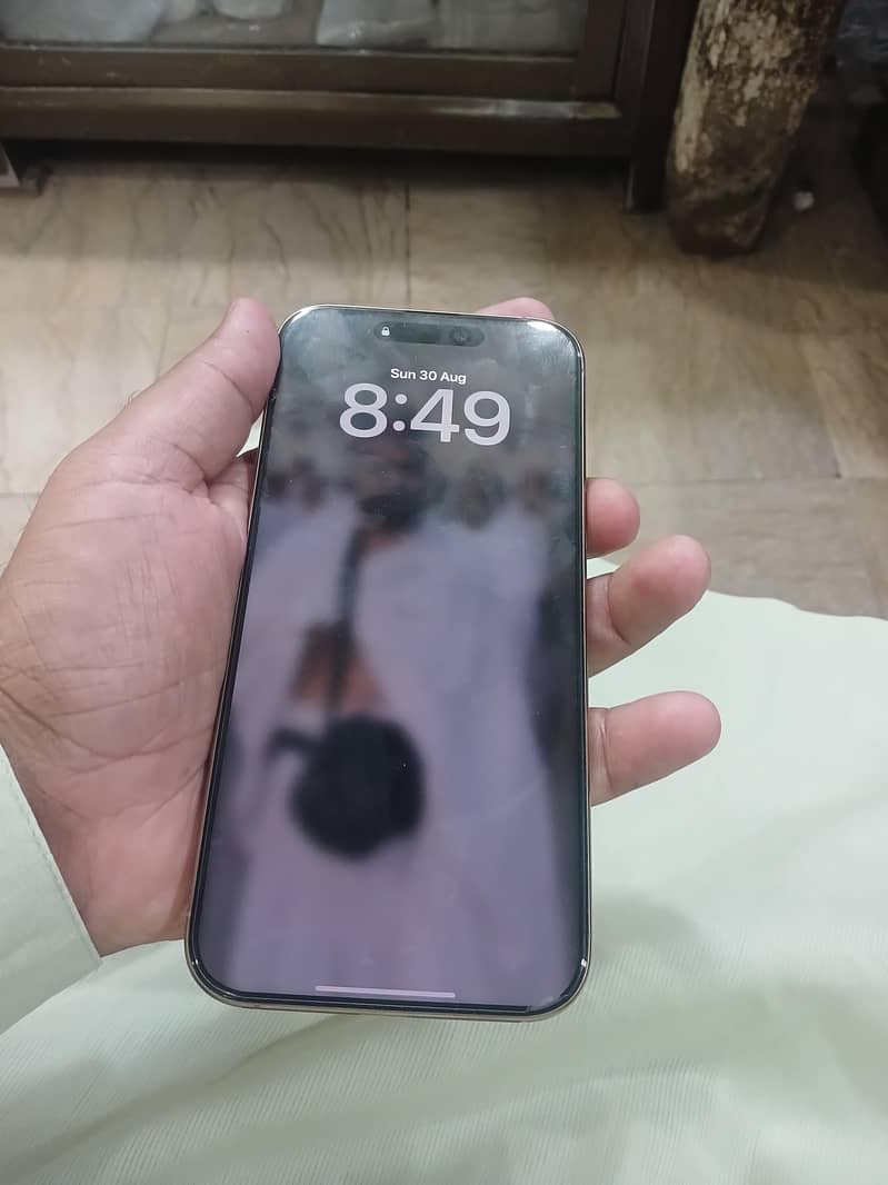 Apple iPhone 16 Pro Max 1