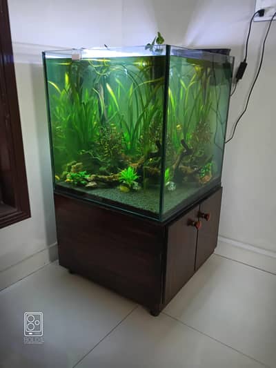 2 x 2 x 2 cube aquarium with polish cabinet