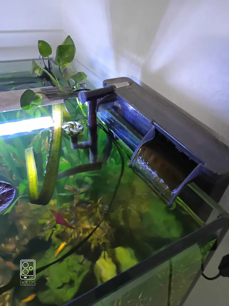 2 x 2 x 2 cube aquarium with polish cabinet — photo 5