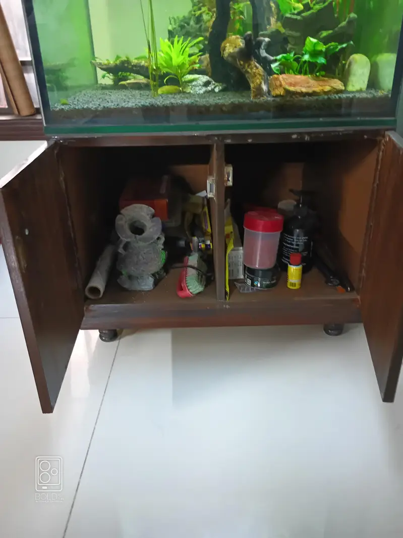 2 x 2 x 2 cube aquarium with polish cabinet — photo 6