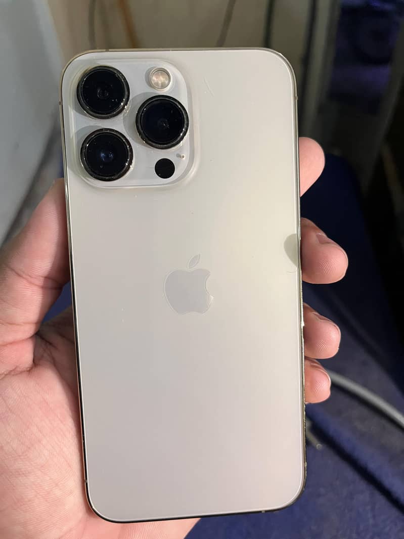 Apple iPhone 13 Pro Max 1