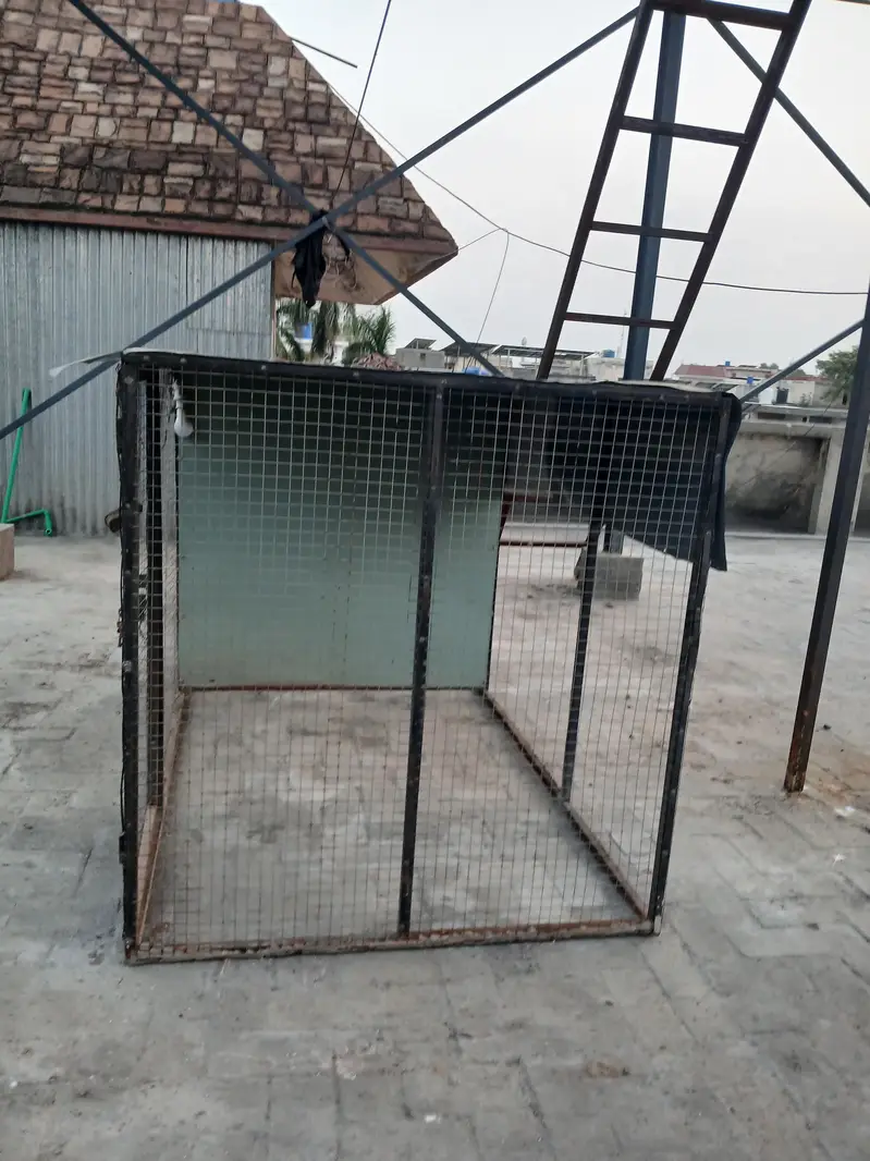 heavy duty iron cage for sale — photo 2