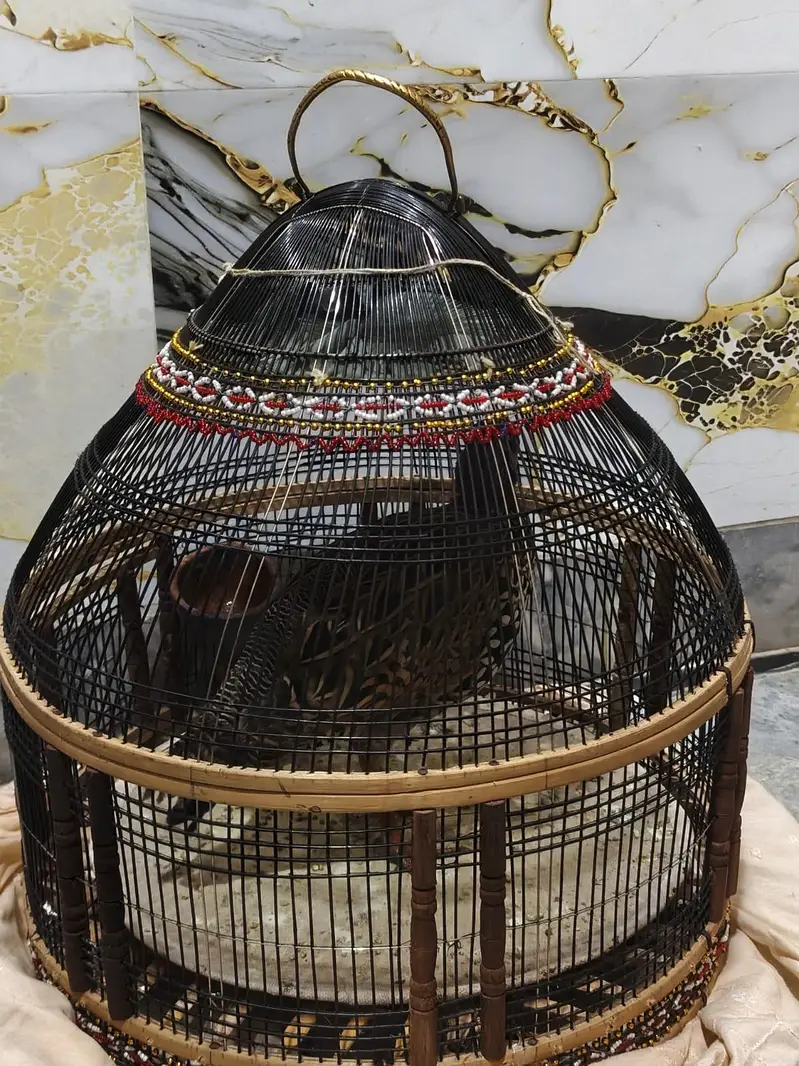 kala Patha for sale — photo 2
