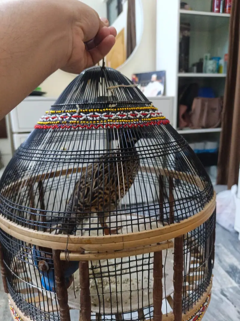 kala Patha for sale — photo 3
