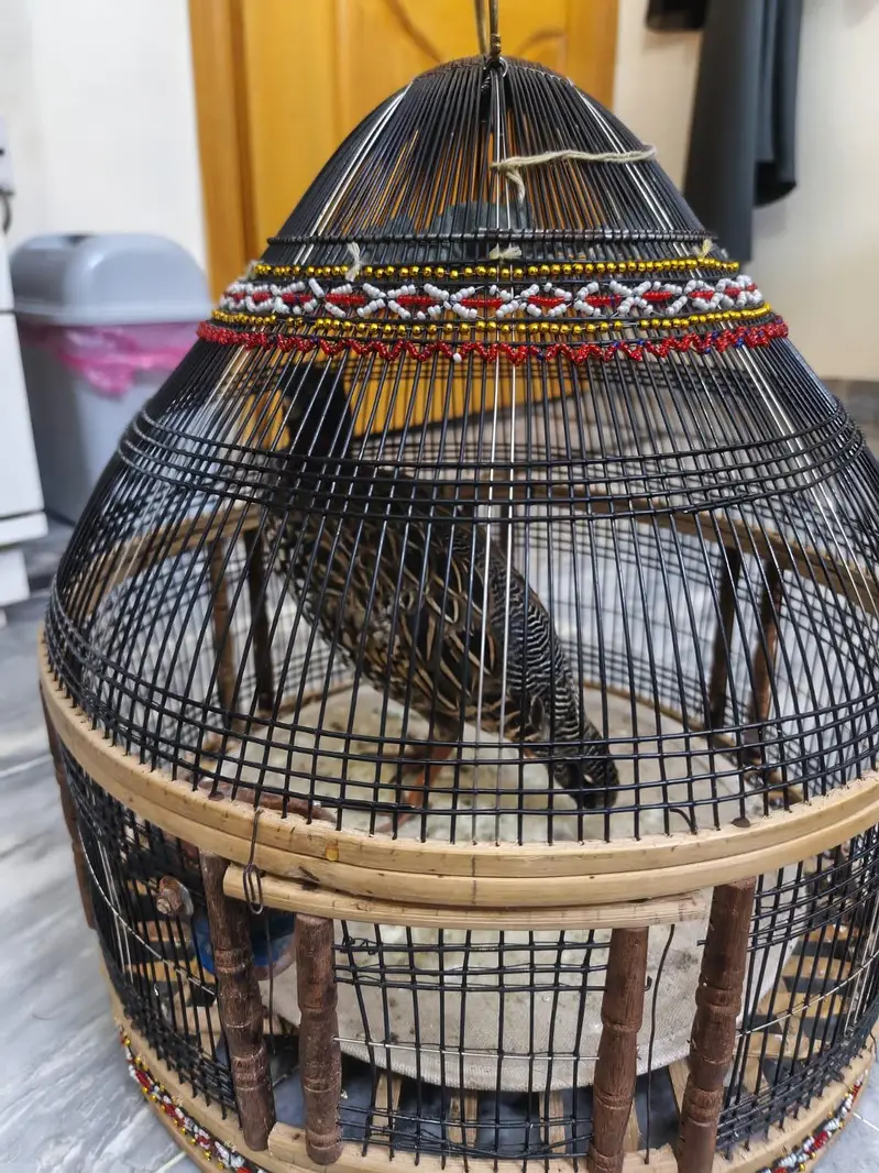 kala Patha for sale — photo 4