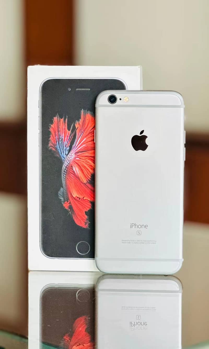 Apple iPhone 6S 1