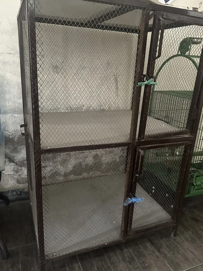 Iron cage — photo 2