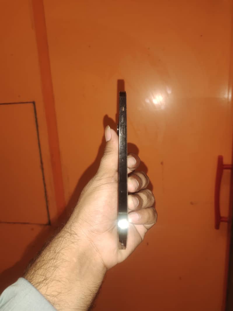 Apple iPhone 12 Pro Max 1