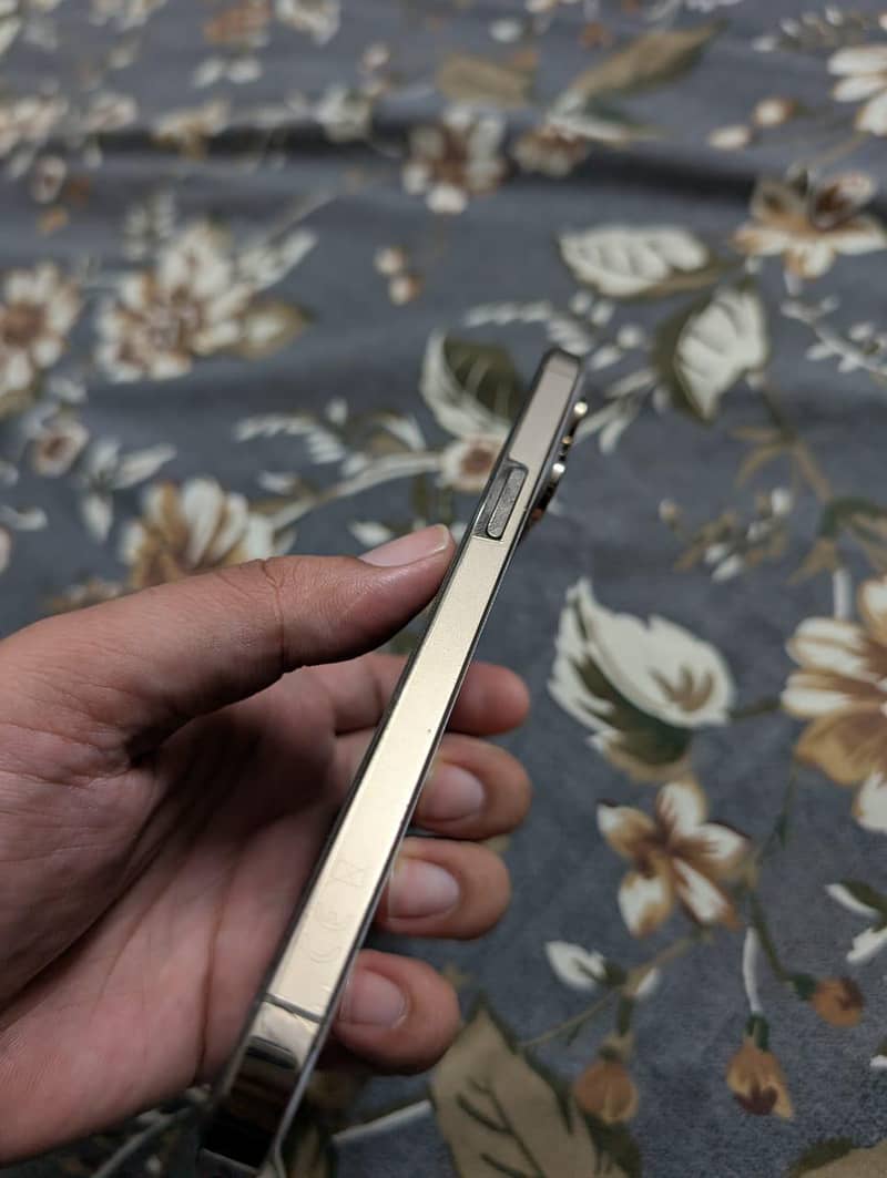 Apple iPhone 14 Pro Max 2