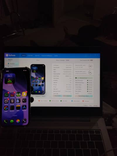 Apple iPhone 13