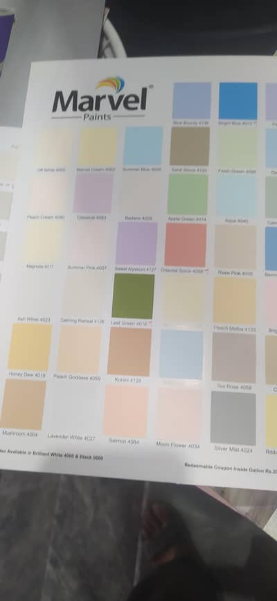 paint service available