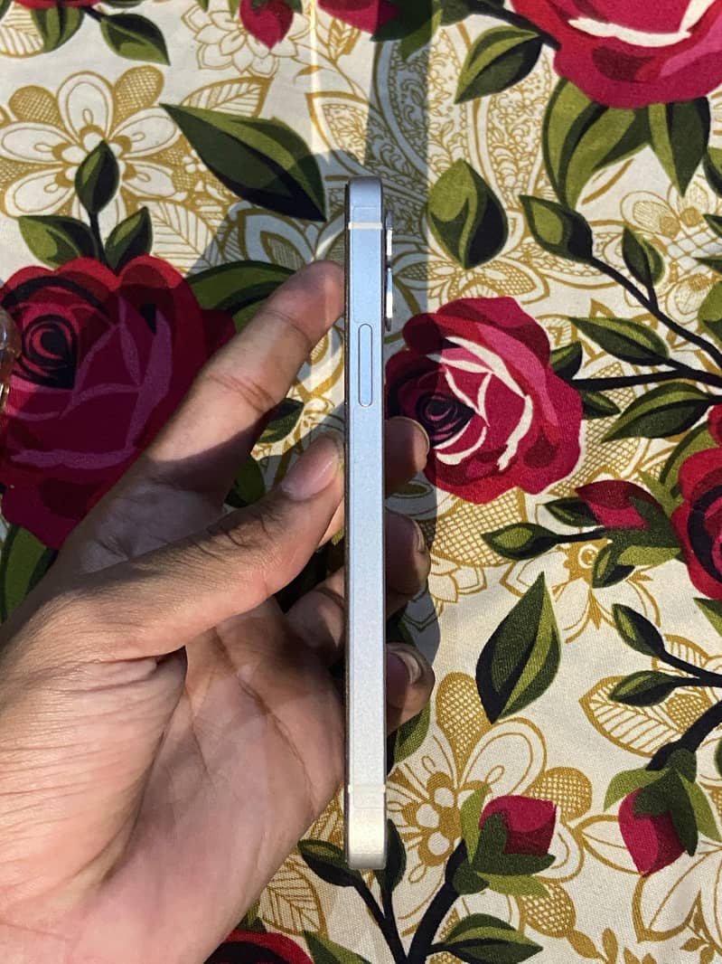 Apple iPhone 12 2