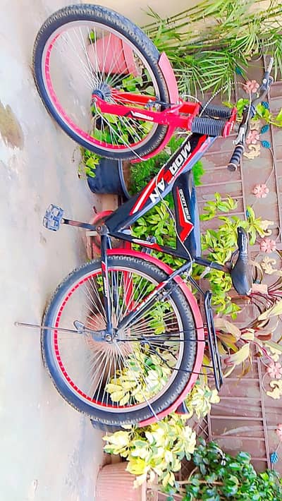 cycle for sale