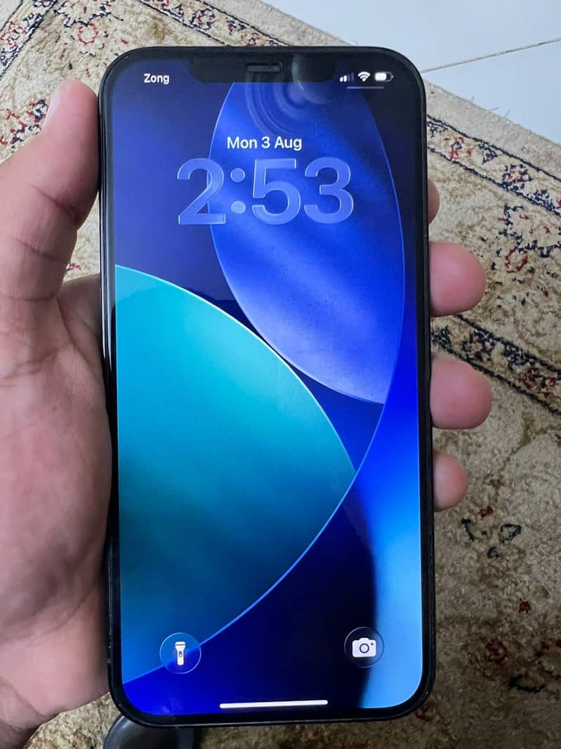 Apple iPhone 12 Pro Max 1
