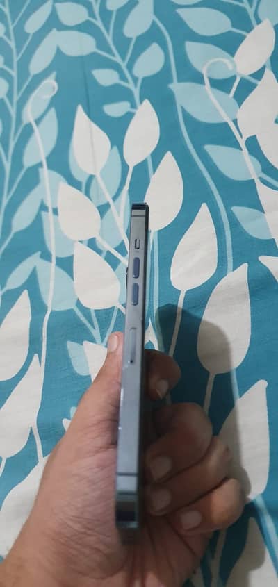 Apple iPhone 13 Pro