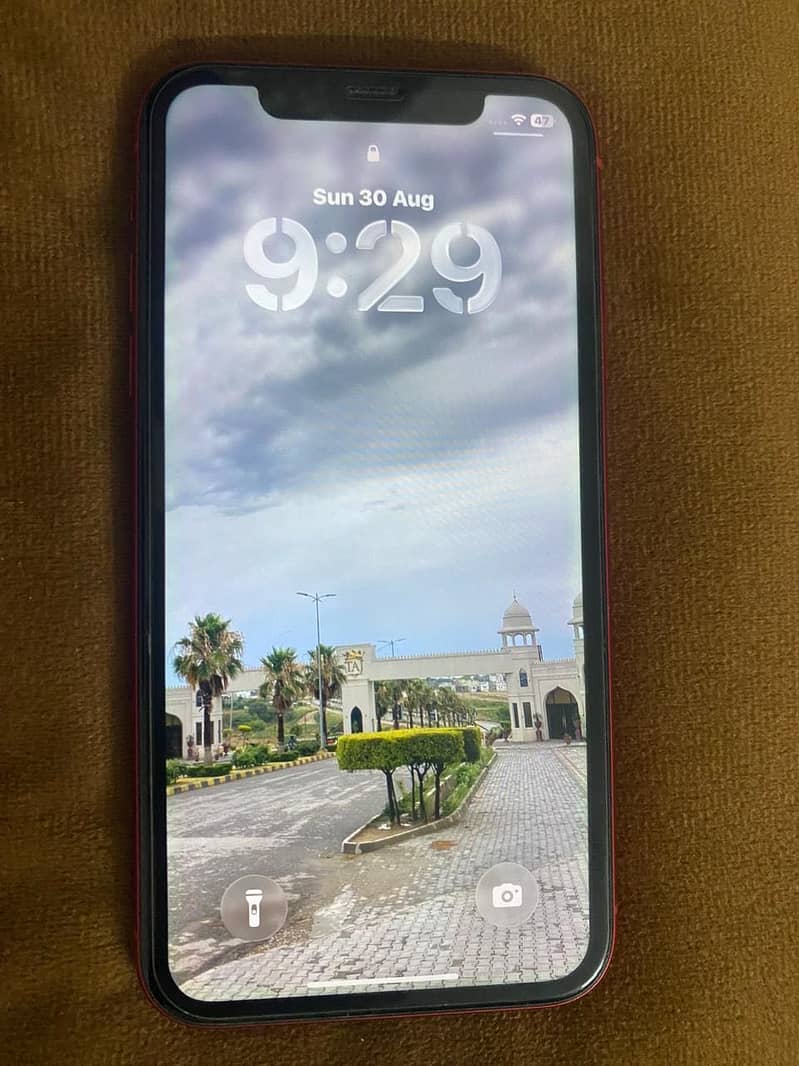 Apple iPhone 11 3