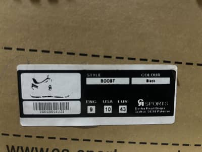 CA SPORTS SHOES