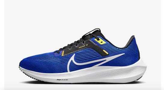 PEGASUS 40 PREMIUM Shoes