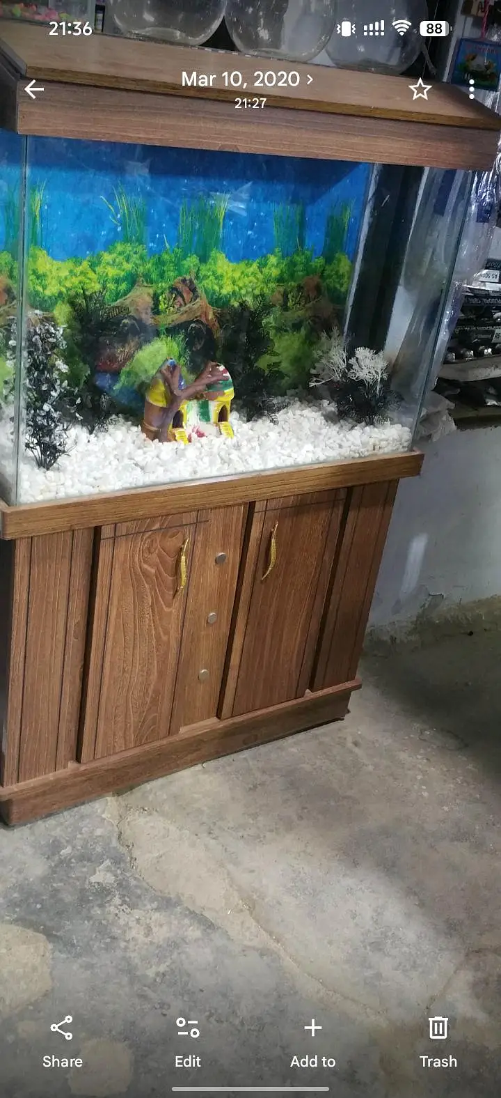 new aquarium — photo 2