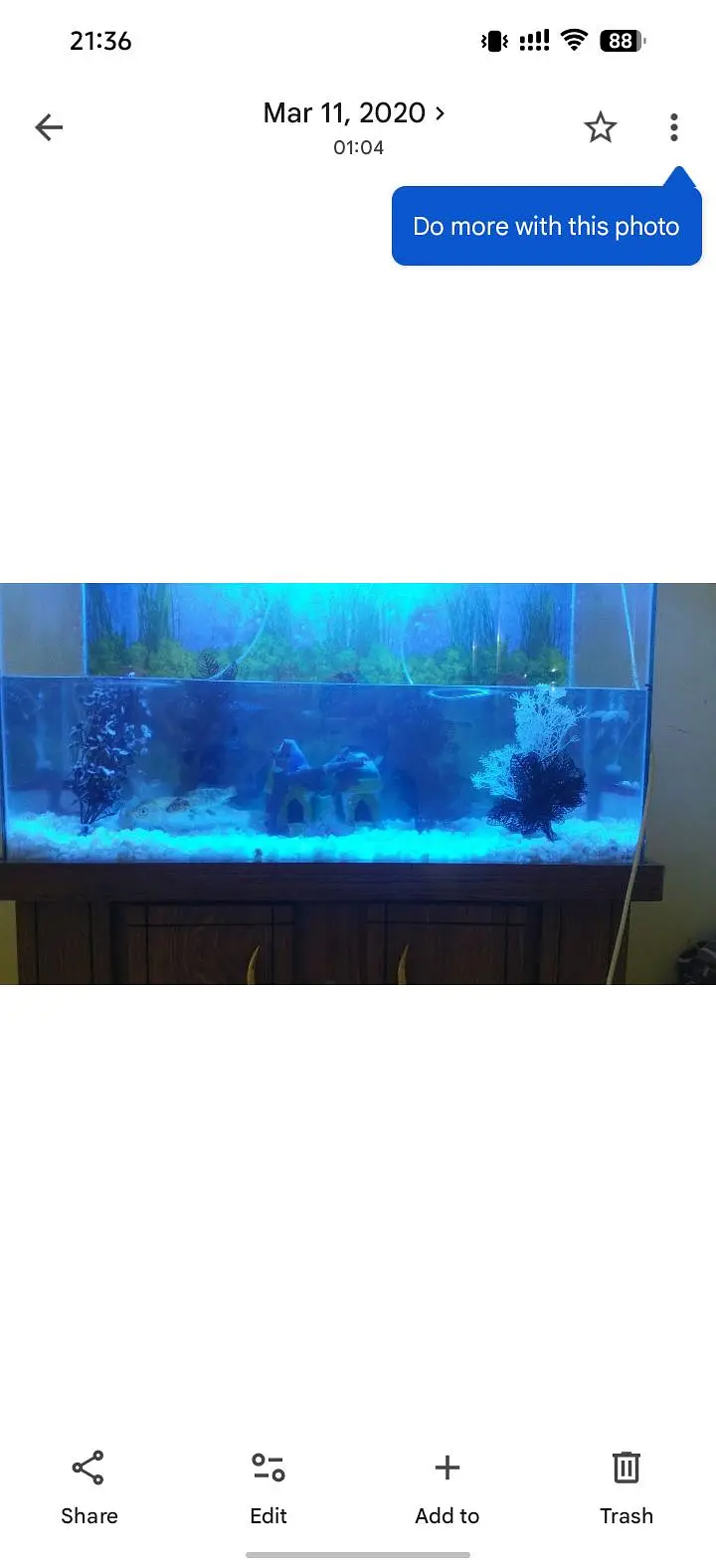 new aquarium — photo 3