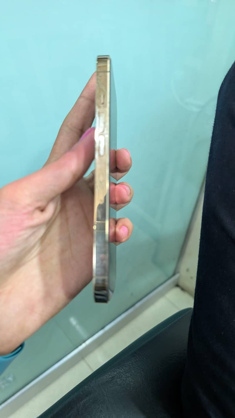Apple iPhone 13 Pro 2