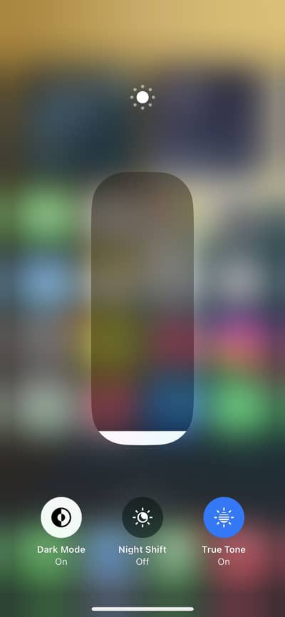 Apple iPhone XS