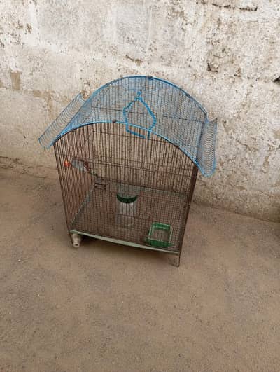 Bird Cage / Parrot Cage for Sale – Good Condition