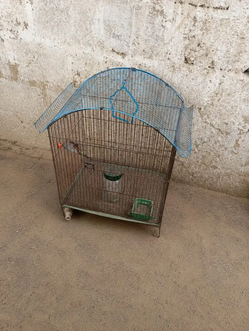 Bird Cage / Parrot Cage for Sale – Good Condition