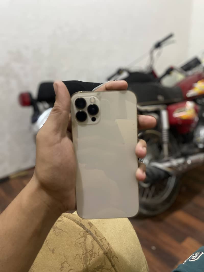 Apple iPhone 11 2