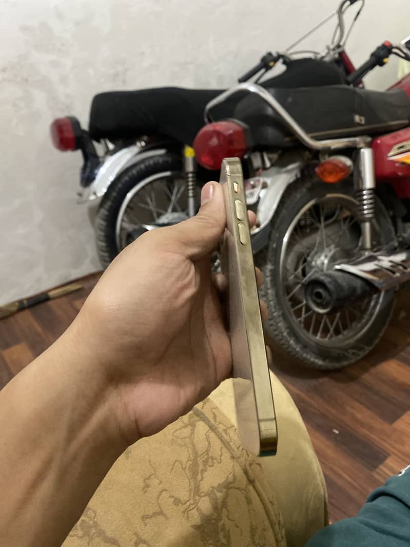 Apple iPhone 11 5