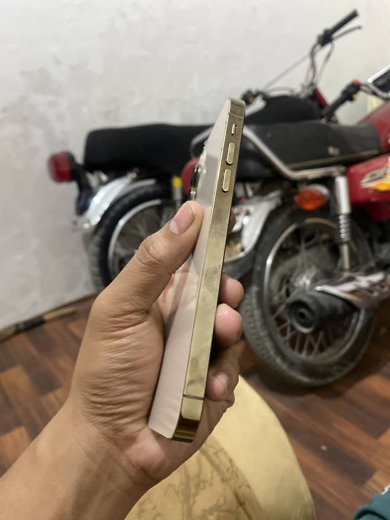 Apple iPhone 11 6