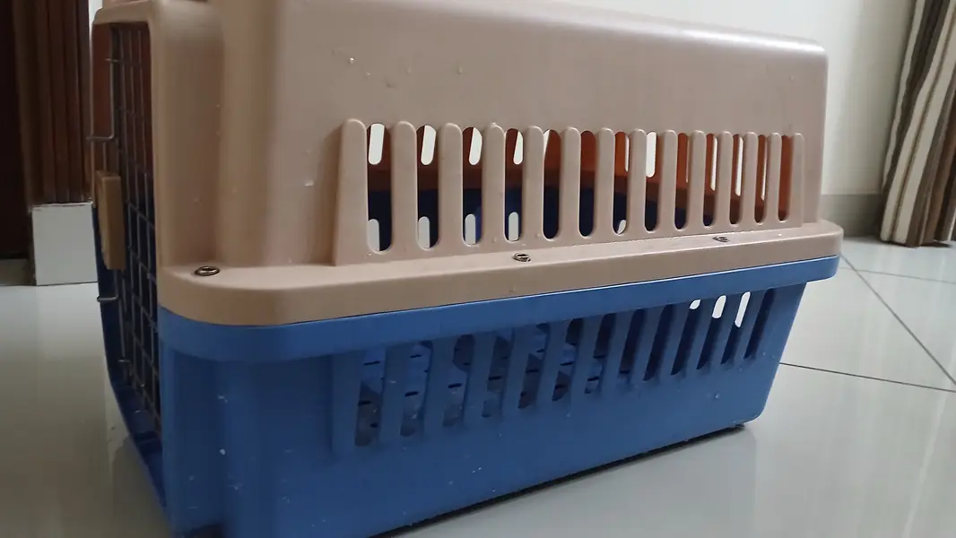 Cat Cage/Jet Box — photo 2