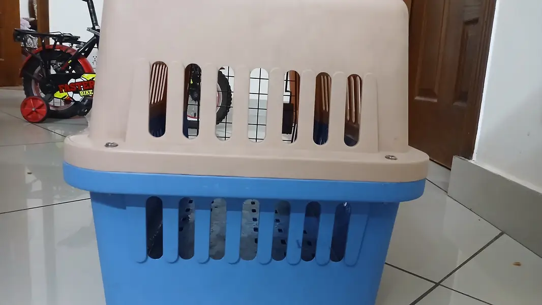 Cat Cage/Jet Box — photo 4